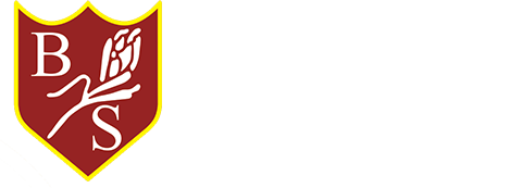  Brandhall Primary School